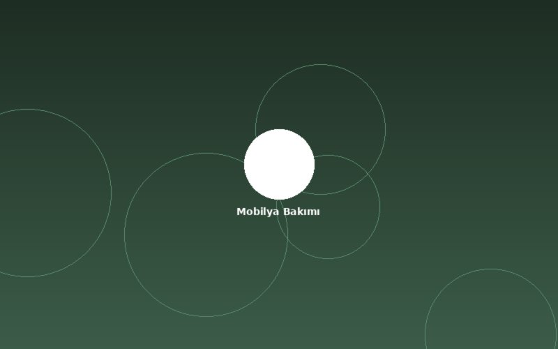 Ahşap Mobilya Bakım Rehberi